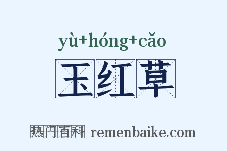 玉红草是什么意思的图片
